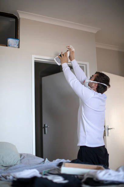 Best Mold Remediation for Vacation Homes  in Vandenberg Village, CA