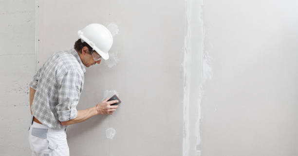 Reliable Vandenberg Village, CA Mold Removal Solutions